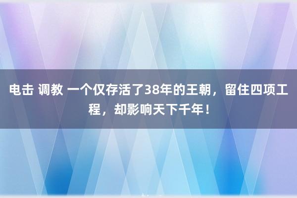 电击 调教 一个仅存活了38年的王朝，留住四项工程，却影响天下千年！