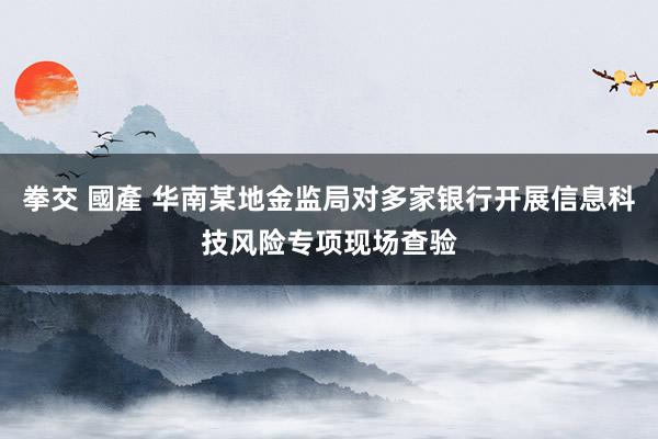 拳交 國產 华南某地金监局对多家银行开展信息科技风险专项现场查验