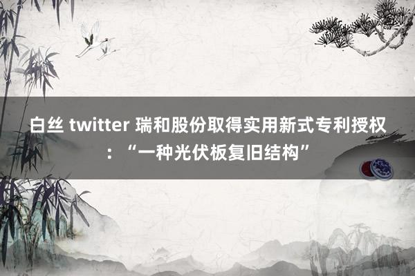 白丝 twitter 瑞和股份取得实用新式专利授权：“一种光伏板复旧结构”