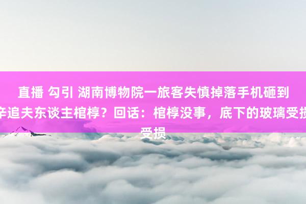 直播 勾引 湖南博物院一旅客失慎掉落手机砸到辛追夫东谈主棺椁？回话：棺椁没事，底下的玻璃受损