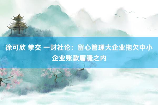 徐可欣 拳交 一财社论：留心管理大企业拖欠中小企业账款眉睫之内