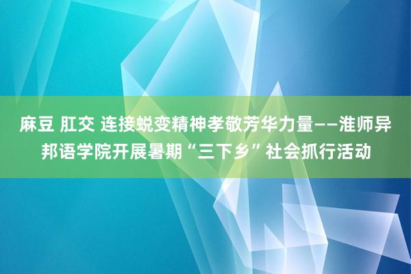 麻豆 肛交 连接蜕变精神孝敬芳华力量——淮师异邦语学院开展暑期“三下乡”社会抓行活动