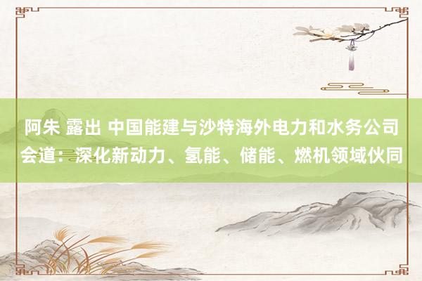 阿朱 露出 中国能建与沙特海外电力和水务公司会道：深化新动力、氢能、储能、燃机领域伙同