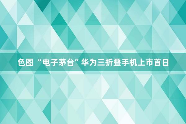 色图 “电子茅台”华为三折叠手机上市首日