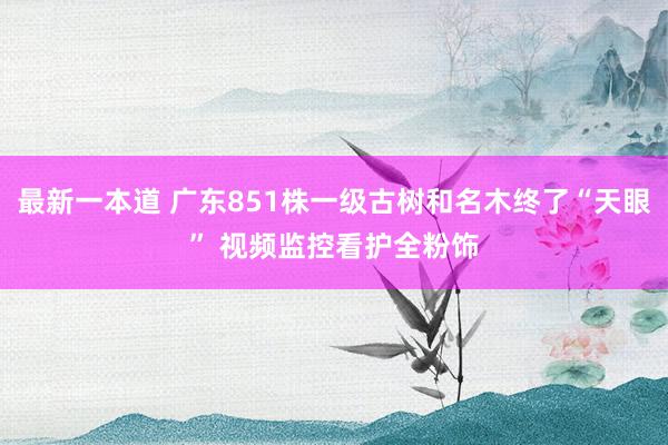 最新一本道 广东851株一级古树和名木终了“天眼” 视频监控看护全粉饰