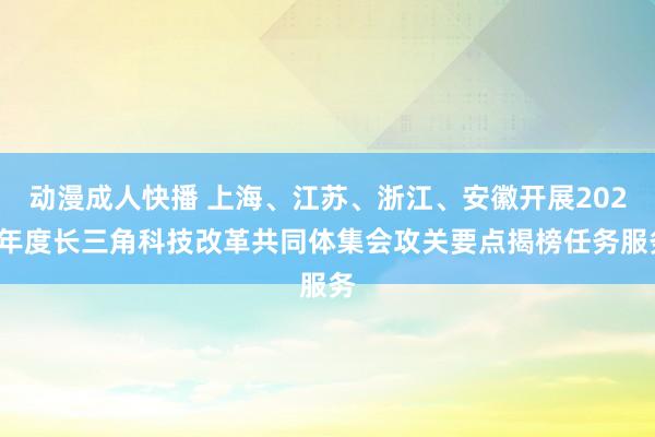 动漫成人快播 上海、江苏、浙江、安徽开展2024年度长三角科技改革共同体集会攻关要点揭榜任务服务