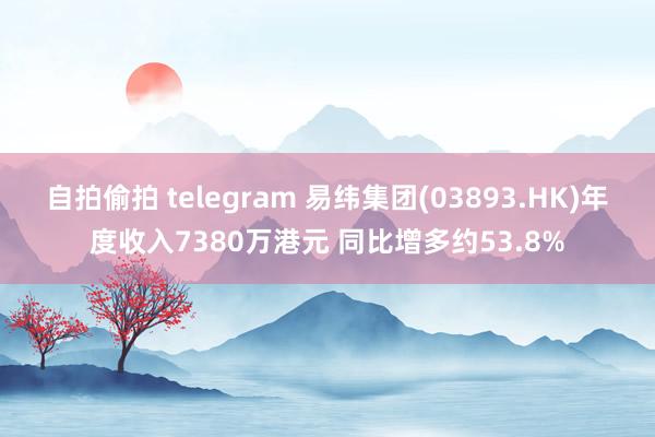 自拍偷拍 telegram 易纬集团(03893.HK)年度收入7380万港元 同比增多约53.8%