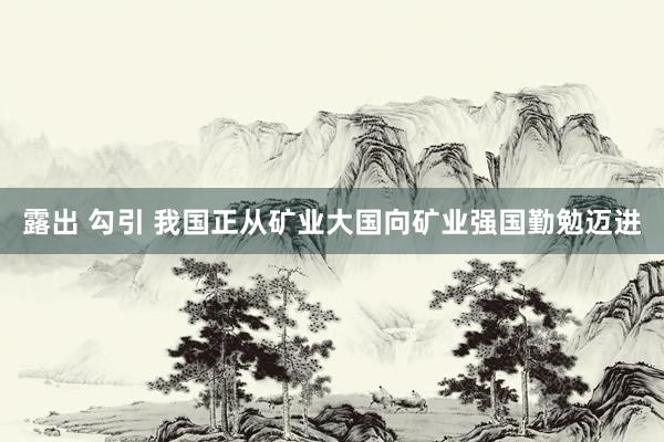 露出 勾引 我国正从矿业大国向矿业强国勤勉迈进