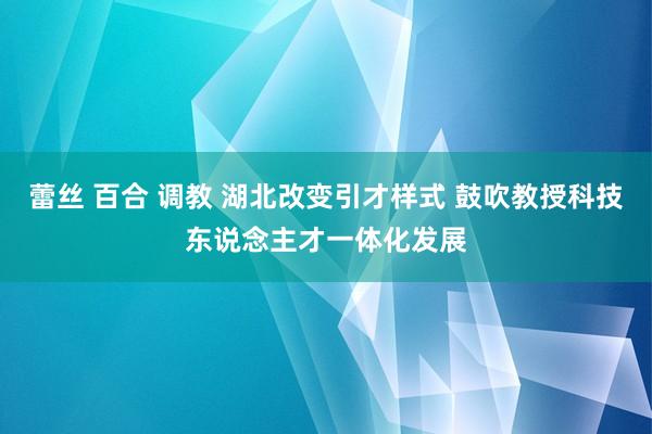 蕾丝 百合 调教 湖北改变引才样式 鼓吹教授科技东说念主才一体化发展