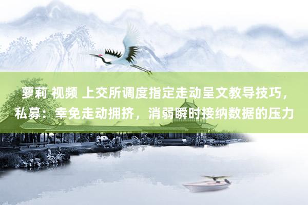 萝莉 视频 上交所调度指定走动呈文教导技巧，私募：幸免走动拥挤，消弱瞬时接纳数据的压力