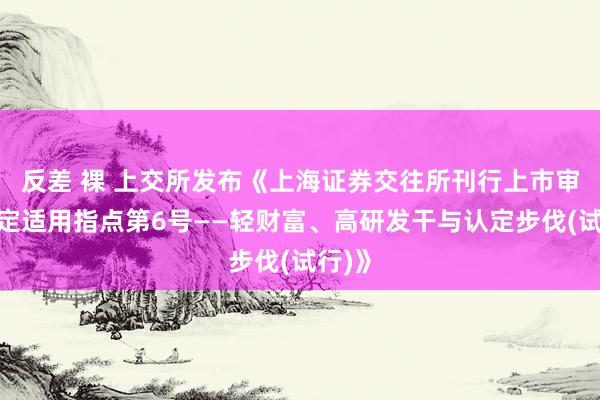 反差 裸 上交所发布《上海证券交往所刊行上市审核规定适用指点第6号——轻财富、高研发干与认定步伐(试行)》