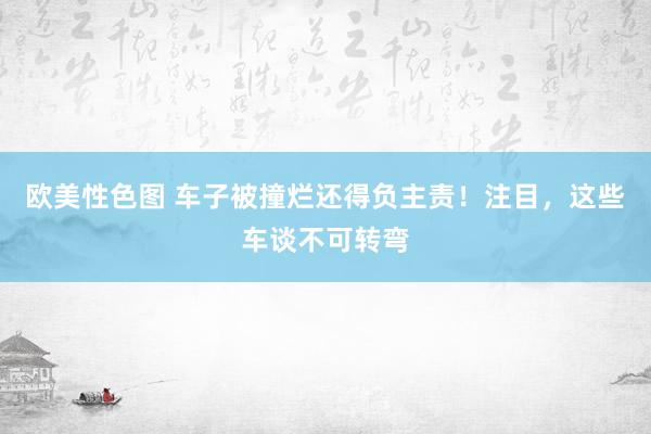 欧美性色图 车子被撞烂还得负主责！注目，这些车谈不可转弯