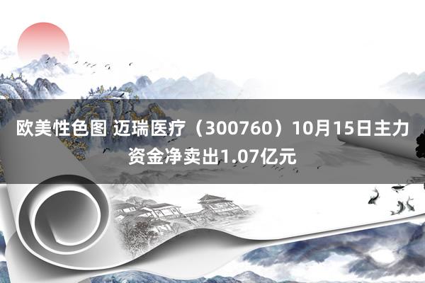 欧美性色图 迈瑞医疗（300760）10月15日主力资金净卖出1.07亿元