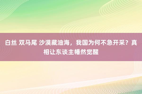 白丝 双马尾 沙漠藏油海，我国为何不急开采？真相让东谈主幡然觉醒