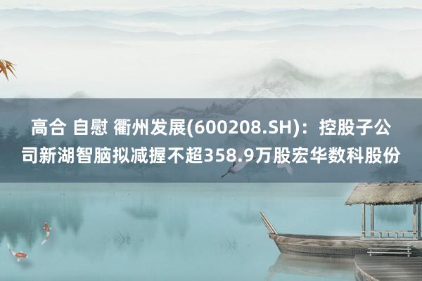 高合 自慰 衢州发展(600208.SH)：控股子公司新湖智脑拟减握不超358.9万股宏华数科股份