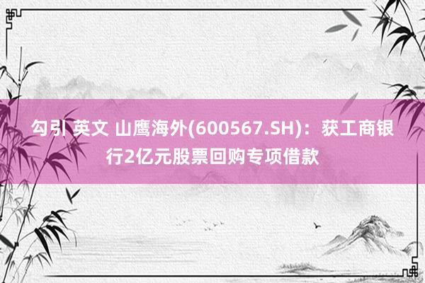 勾引 英文 山鹰海外(600567.SH)：获工商银行2亿元股票回购专项借款