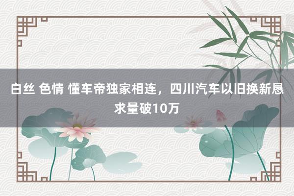 白丝 色情 懂车帝独家相连，四川汽车以旧换新恳求量破10万