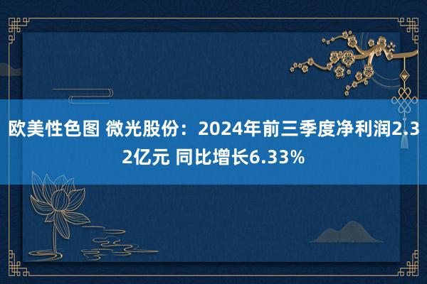 欧美性色图 微光股份：2024年前三季度净利润2.32亿元 同比增长6.33%