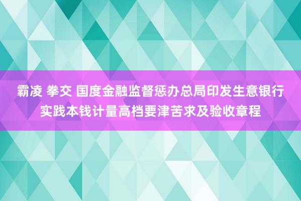 霸凌 拳交 国度金融监督惩办总局印发生意银行实践本钱计量高档要津苦求及验收章程