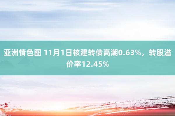 亚洲情色图 11月1日核建转债高潮0.63%，转股溢价率12.45%