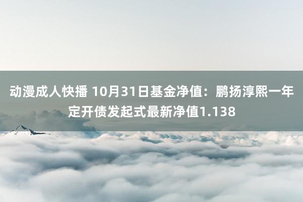 动漫成人快播 10月31日基金净值：鹏扬淳熙一年定开债发起式最新净值1.138