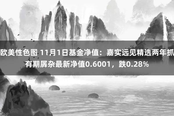 欧美性色图 11月1日基金净值：嘉实远见精选两年抓有期羼杂最新净值0.6001，跌0.28%