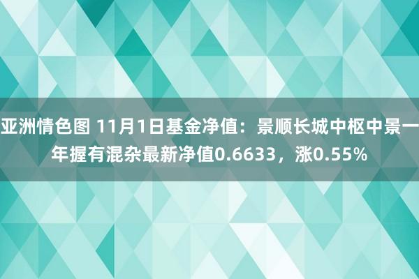 亚洲情色图 11月1日基金净值：景顺长城中枢中景一年握有混杂最新净值0.6633，涨0.55%