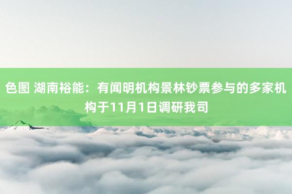 色图 湖南裕能：有闻明机构景林钞票参与的多家机构于11月1日调研我司