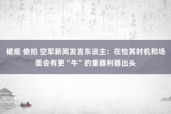 裙底 偷拍 空军新闻发言东谈主：在恰其时机和场面会有更“牛”的重器利器出头