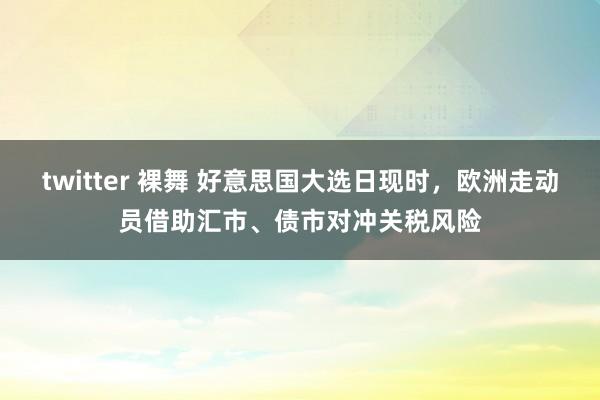 twitter 裸舞 好意思国大选日现时，欧洲走动员借助汇市、债市对冲关税风险