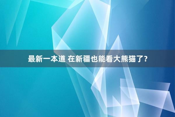 最新一本道 在新疆也能看大熊猫了？