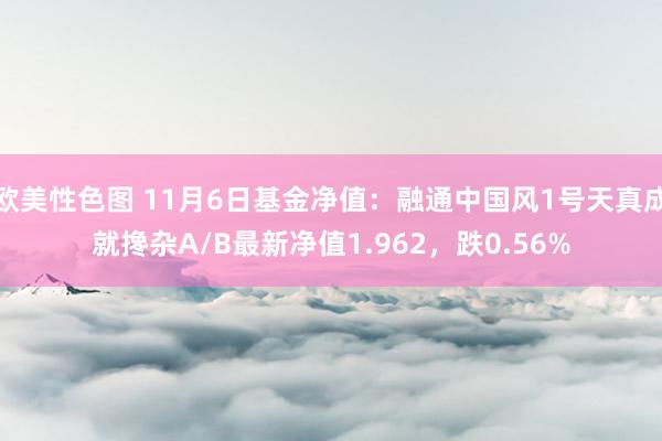 欧美性色图 11月6日基金净值：融通中国风1号天真成就搀杂A/B最新净值1.962，跌0.56%