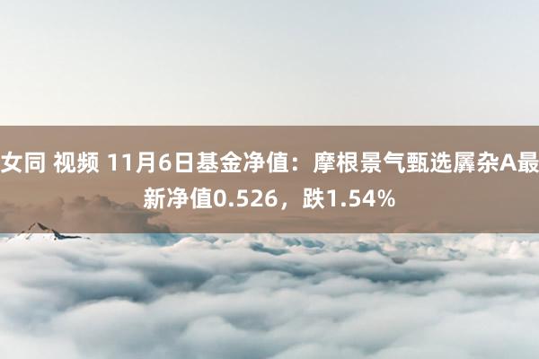 女同 视频 11月6日基金净值：摩根景气甄选羼杂A最新净值0.526，跌1.54%