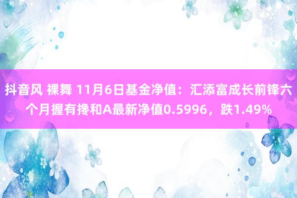 抖音风 裸舞 11月6日基金净值：汇添富成长前锋六个月握有搀和A最新净值0.5996，跌1.49%