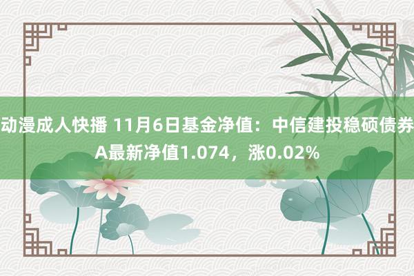 动漫成人快播 11月6日基金净值：中信建投稳硕债券A最新净值1.074，涨0.02%