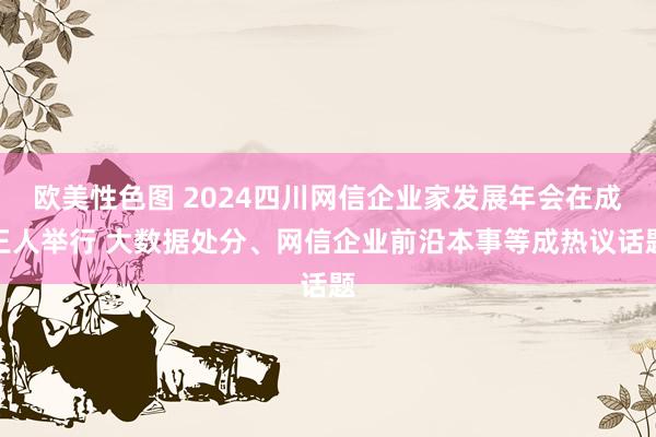 欧美性色图 2024四川网信企业家发展年会在成王人举行 大数据处分、网信企业前沿本事等成热议话题