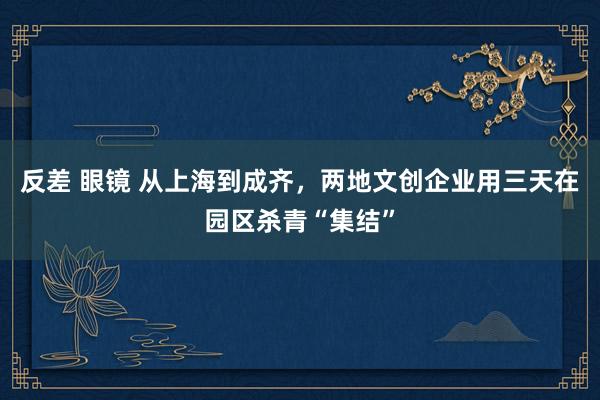 反差 眼镜 从上海到成齐，两地文创企业用三天在园区杀青“集结”