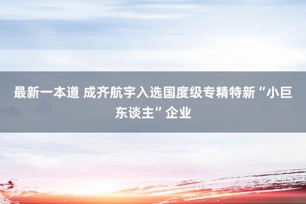 最新一本道 成齐航宇入选国度级专精特新“小巨东谈主”企业