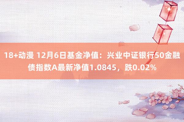 18+动漫 12月6日基金净值：兴业中证银行50金融债指数A最新净值1.0845，跌0.02%