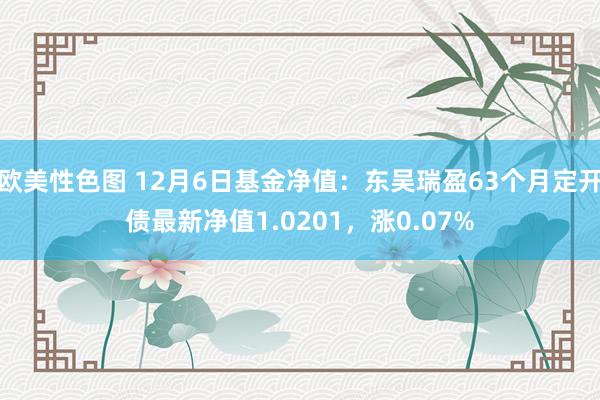 欧美性色图 12月6日基金净值：东吴瑞盈63个月定开债最新净值1.0201，涨0.07%