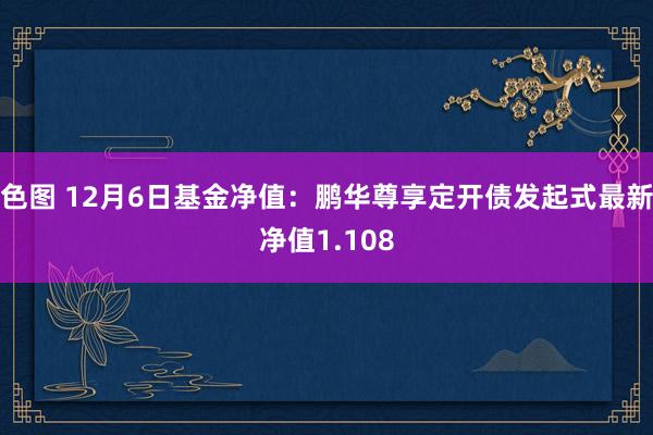 色图 12月6日基金净值：鹏华尊享定开债发起式最新净值1.108