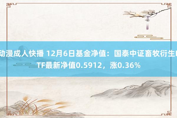 动漫成人快播 12月6日基金净值：国泰中证畜牧衍生ETF最新净值0.5912，涨0.36%