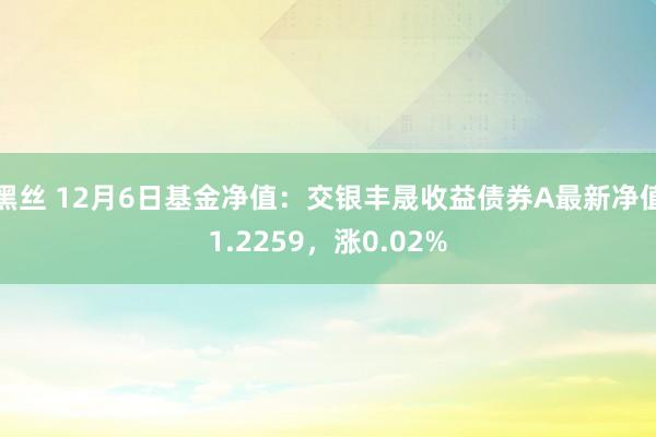 黑丝 12月6日基金净值：交银丰晟收益债券A最新净值1.2259，涨0.02%