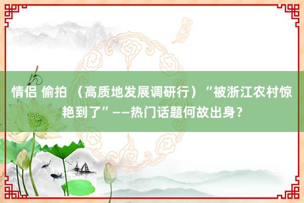 情侣 偷拍 （高质地发展调研行）“被浙江农村惊艳到了”——热门话题何故出身？