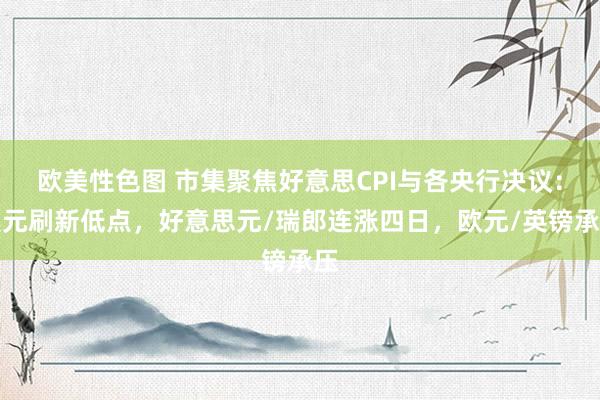 欧美性色图 市集聚焦好意思CPI与各央行决议：澳元刷新低点，好意思元/瑞郎连涨四日，欧元/英镑承压