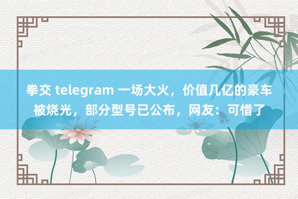 拳交 telegram 一场大火，价值几亿的豪车被烧光，部分型号已公布，网友：可惜了