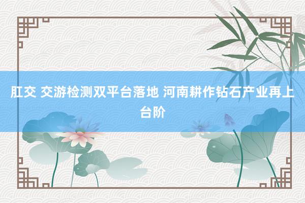 肛交 交游检测双平台落地 河南耕作钻石产业再上台阶