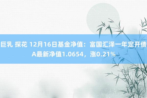 巨乳 探花 12月16日基金净值：富国汇泽一年定开债A最新净值1.0654，涨0.21%