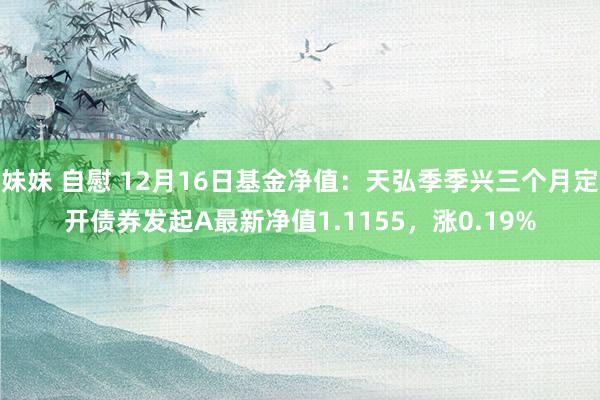 妹妹 自慰 12月16日基金净值：天弘季季兴三个月定开债券发起A最新净值1.1155，涨0.19%