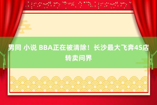 男同 小说 BBA正在被清除！长沙最大飞奔4S店转卖问界